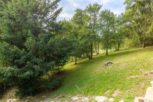 Maisons de vacances Quiet and Authentic Mountain Chalet : photos des chambres