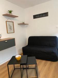 Appartements Superbe Appt avec cour et parking gratuit a 5min de la cite medievale : Appartement 1 Chambre