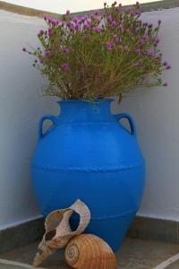 Violetta Ios Greece