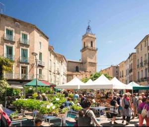 Maisons de vacances Confortable logement sur les hauteurs de Pezenas : photos des chambres