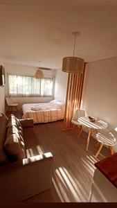 Monoambiente centro Mendoza