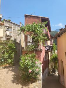 Maisons de vacances Little Pink House : Maison 1 Chambre