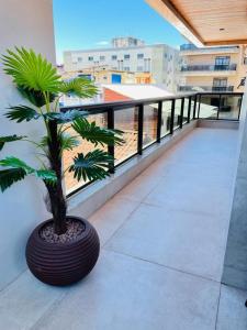 Apê Família Praia do Forte com 2 Quartos e Sacada