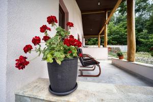 Pensiunea Agroturistica Diana