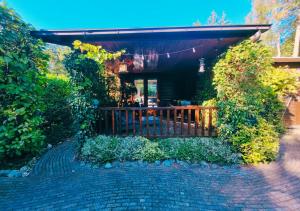 "De Jungle" Chalet met veranda op IJsselheide Hattemerbroek Veluwe