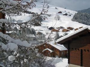 Chalet Sophia