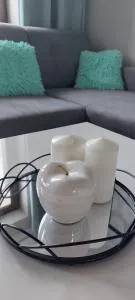 Apartament Choszczno - Ziemomyśl