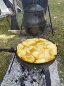 Campings Le Petit Chene : Tente