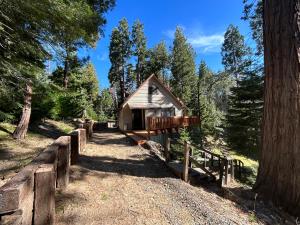 Sequoia National Forest Cabin-ATV Ride