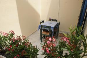 TERRA FOS NAXOS STUDIOS