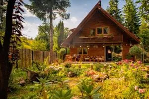 Cabana Mistic - Poarta