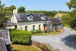 Buttercup - New Hedges