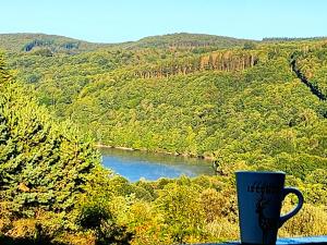 Chalets Chalet de 2 chambres avec vue sur le lac et jardin amenage a La Salvetat sur Agout : photos des chambres