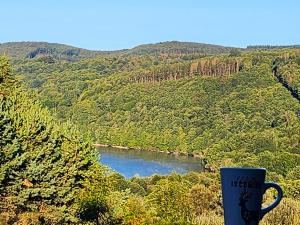 Chalets Chalet de 2 chambres avec vue sur le lac et jardin amenage a La Salvetat sur Agout : photos des chambres