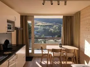 Appartement deux alpes pied des pistes - 莱德萨阿尔卑斯