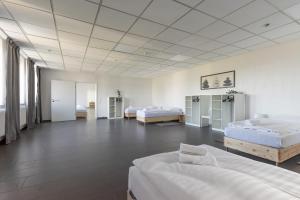 T&K Apartments 6 and 10 Room Apartment in Neuss for big Groups 22min to Fair DUS