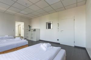 T&K Apartments 6 and 10 Room Apartment in Neuss for big Groups 22min to Fair DUS