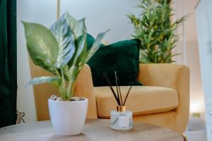 Mayfield Two - Central Harrogate Apartment