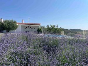 Quinta de Toubres