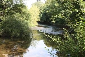 Rural Retreat w Hot Tub & River, Sleeps 12 Guests