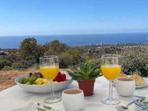 Finca Ines Marbella - Luxury farm house