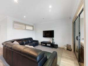 Cypress 31 A