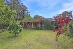 All Decked Out - Hawks Nest