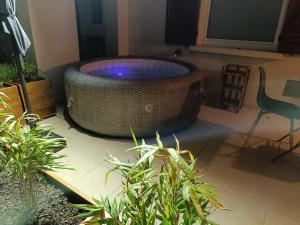 Sejours chez l'habitant Ecrin de nature sous les pins : photos des chambres
