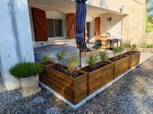 Écrin de nature sous les pins