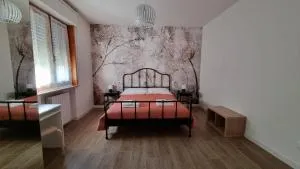 Via Guareschi - Trecasali