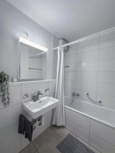 Spacious apartment next to Rhine