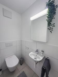 Spacious apartment next to Rhine