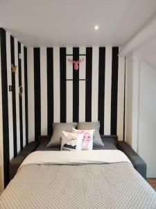 Appartements Cozy studio in city heart for a romantic stay : photos des chambres