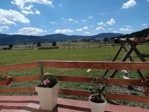 Ruralna kuća za odmor Biljana - Svilari