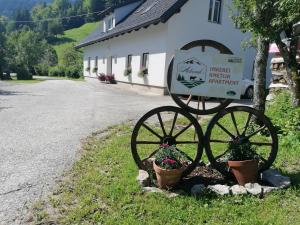 Erlebnis Bienenapartment Adamk