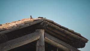 Maisons d'hotes La Chomotte : photos des chambres