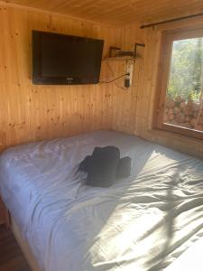 Lodges La barrique : photos des chambres