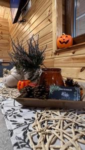 DOMEK LETNISKOWY POD BRZOZAMI na Roztoczu wśród lasów, Zamość, Krasnobród, Zwierzyniec