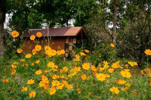 Làng Trường Thọ Farmstay