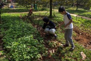 Làng Trường Thọ Farmstay