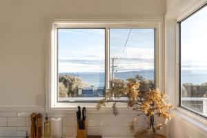 Walters at Coles Bay