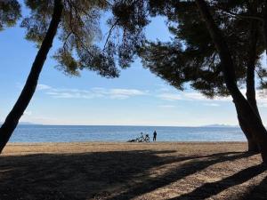 Maisons de vacances Natural Beauty - View of Les Maures and the Sea : photos des chambres