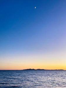 Maisons de vacances Natural Beauty - View of Les Maures and the Sea : Maison 4 Chambres