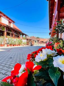 Nagy-Homoród Étterem és Panzió