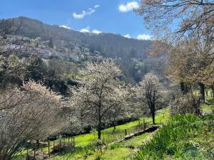 Appartements APPART TOTORO @ FREE PARKING/WIFI/DRAPS : Appartement avec Vue sur la Montagne