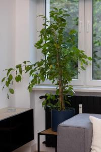 Warsaw Central Apartment 10 min walk from Palace of Culture & Science by Noclegi Renters