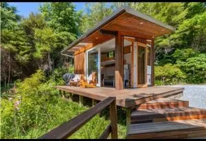 Fantail’s Nest in the forest - Motupipi