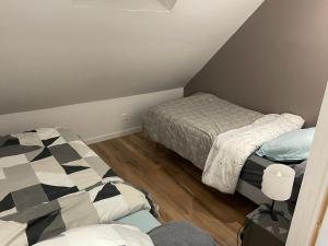 Maisons de vacances Maison Le grand sapin , 5min du zoo parc de Beauval : photos des chambres