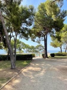 Luminous cocoon with Athena Port pool