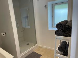 Maisons de vacances Maison Le grand sapin , 5min du zoo parc de Beauval : photos des chambres